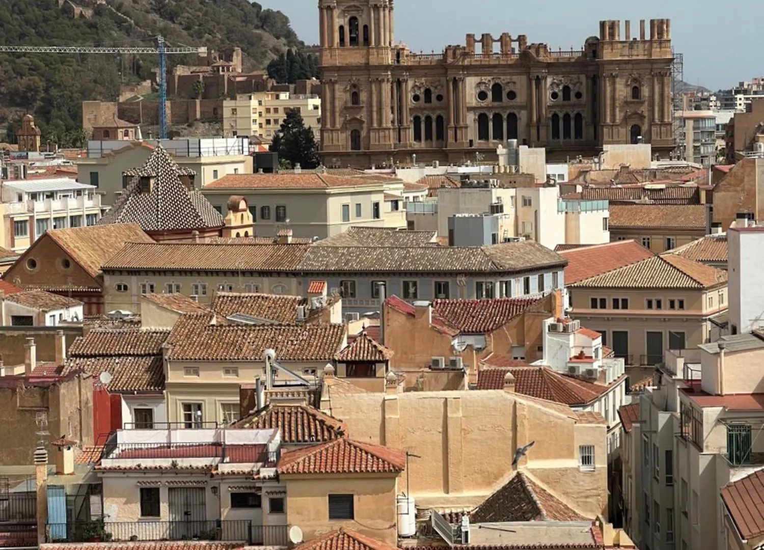 Amazing Tower Of Malaga Apartment Spain